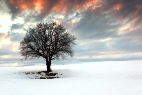 米兰登录入口-德甲血战到底：攻守对决令人血脉喷张，德甲打法特点