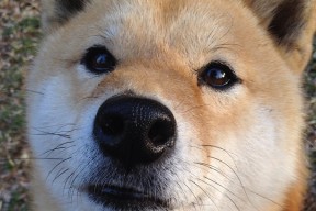 MILANSPORT入口-青少年体育赛事规则完善，青少年体育比赛年龄限制