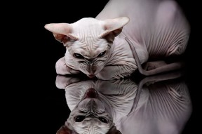 米兰登录入口-中超联赛中国女足爆冷 球迷鼓励继续努力，中超女足联赛2021