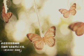 AC米兰-温斯坦决赛数据解析：前半程控制得当，温斯坦公司