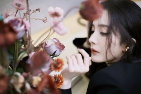 MILANSPORT入口-“南非羚羊队的防线核心：霍斯特如何改变比赛走向”