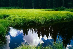 MILANSPORT入口-赵继伟传球视野开阔串联全队节奏流畅，赵继伟打球