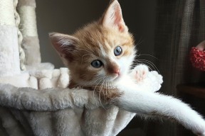 米兰登录入口-冬训期间球队完成多场热身赛新战术逐渐成熟并取得效果，2021冬训方案