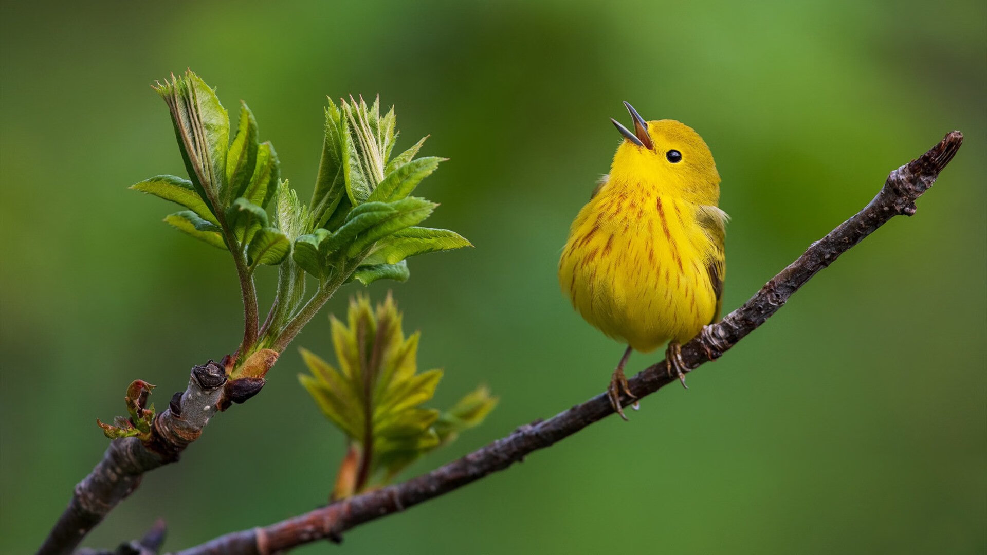 Chinese Taipei团队:未来发展中的跨领域创新,taipei of china
