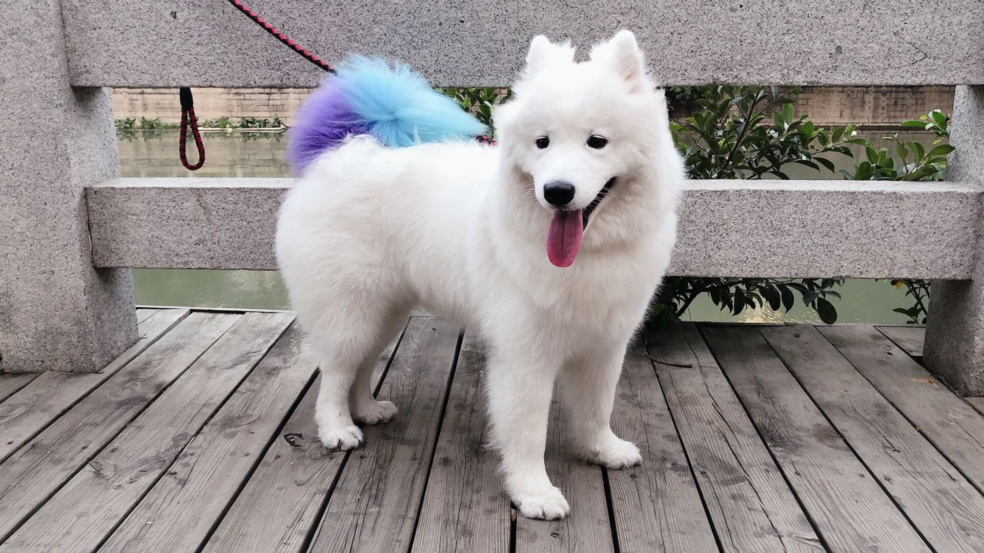 中国女篮提升出球速度打乱防守节奏,中国女篮什么成绩