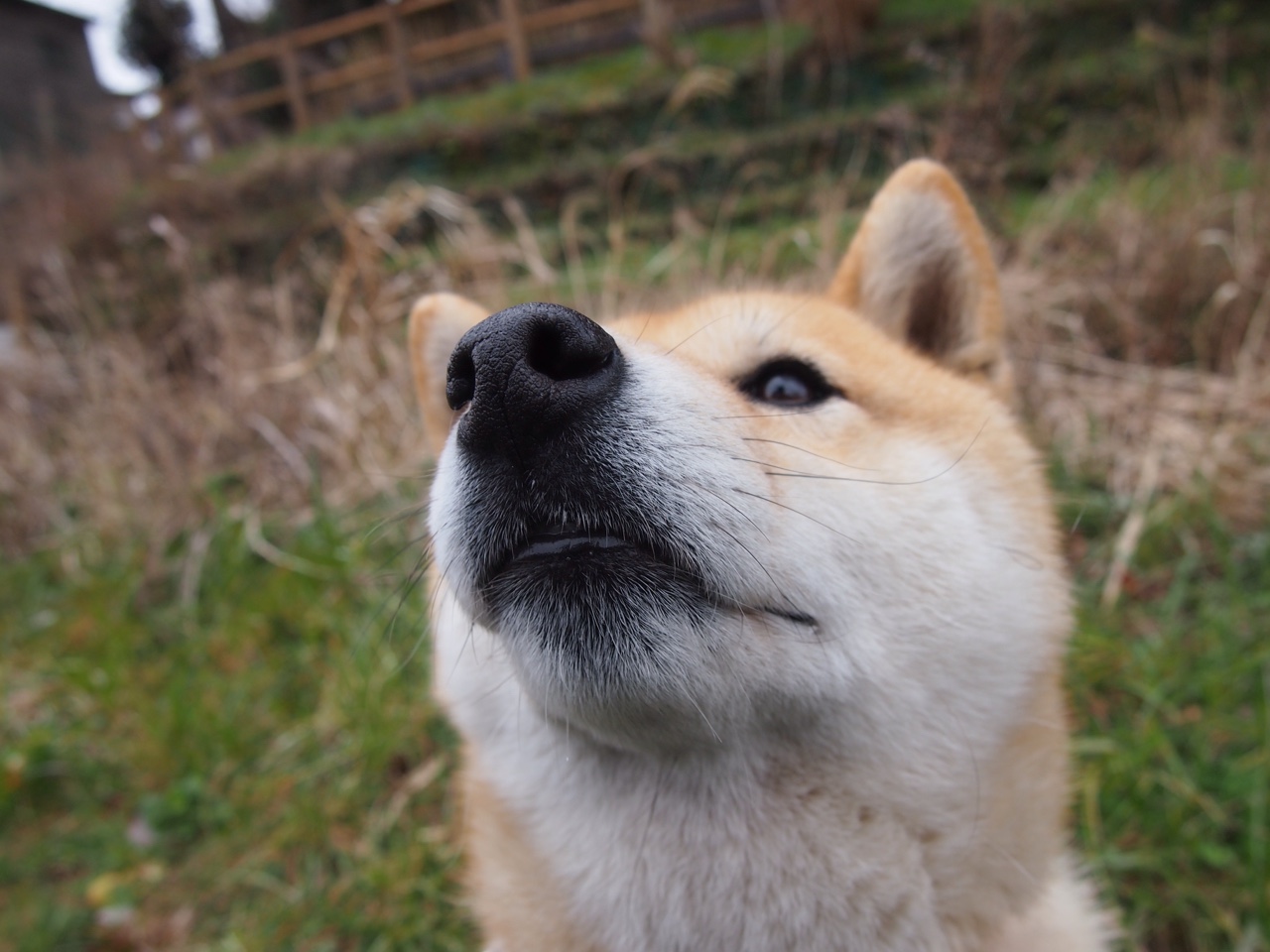 中国男篮苦练体能 备战世预赛关键战,体育总局中国男篮