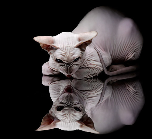 中超联赛中国女足爆冷 球迷鼓励继续努力,中超女足联赛2021