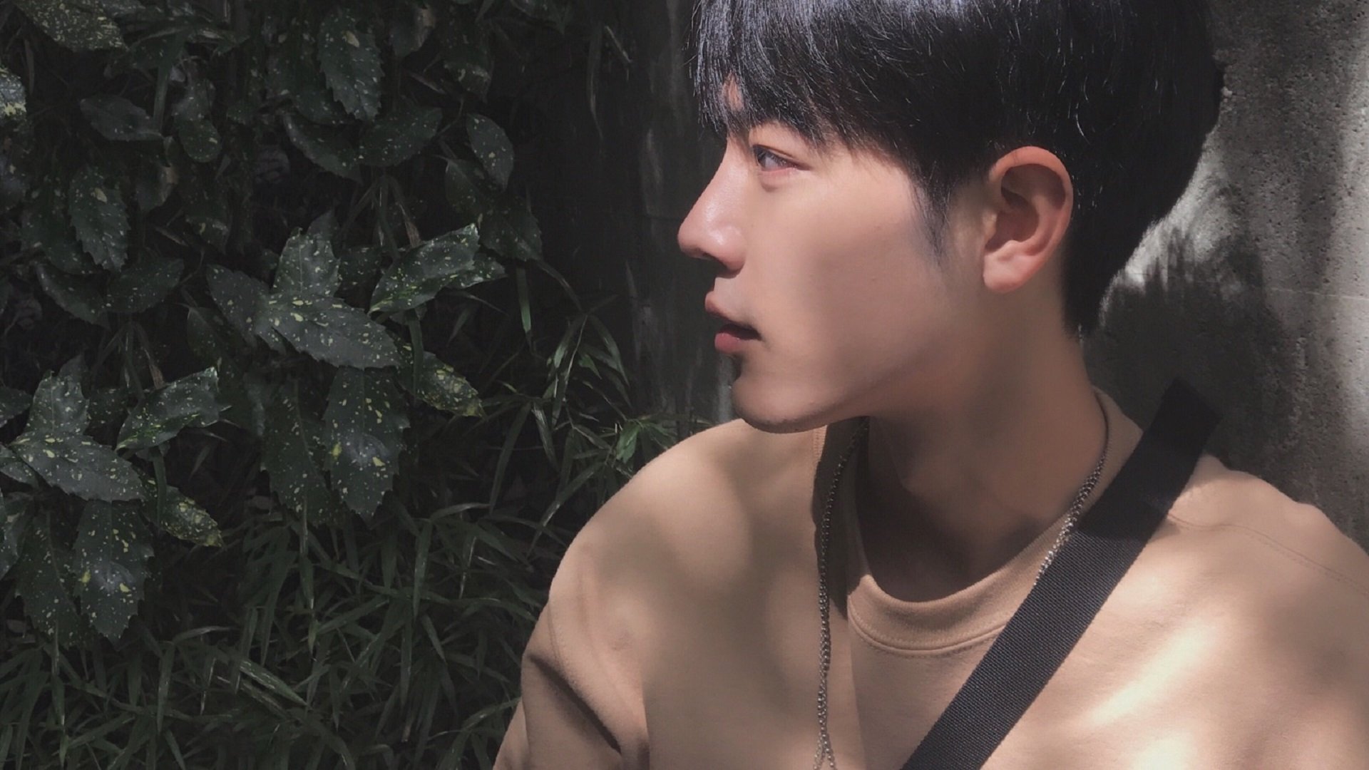 体育新闻中心上线赛事评论智能识别与过滤系统,网络体育新闻评论