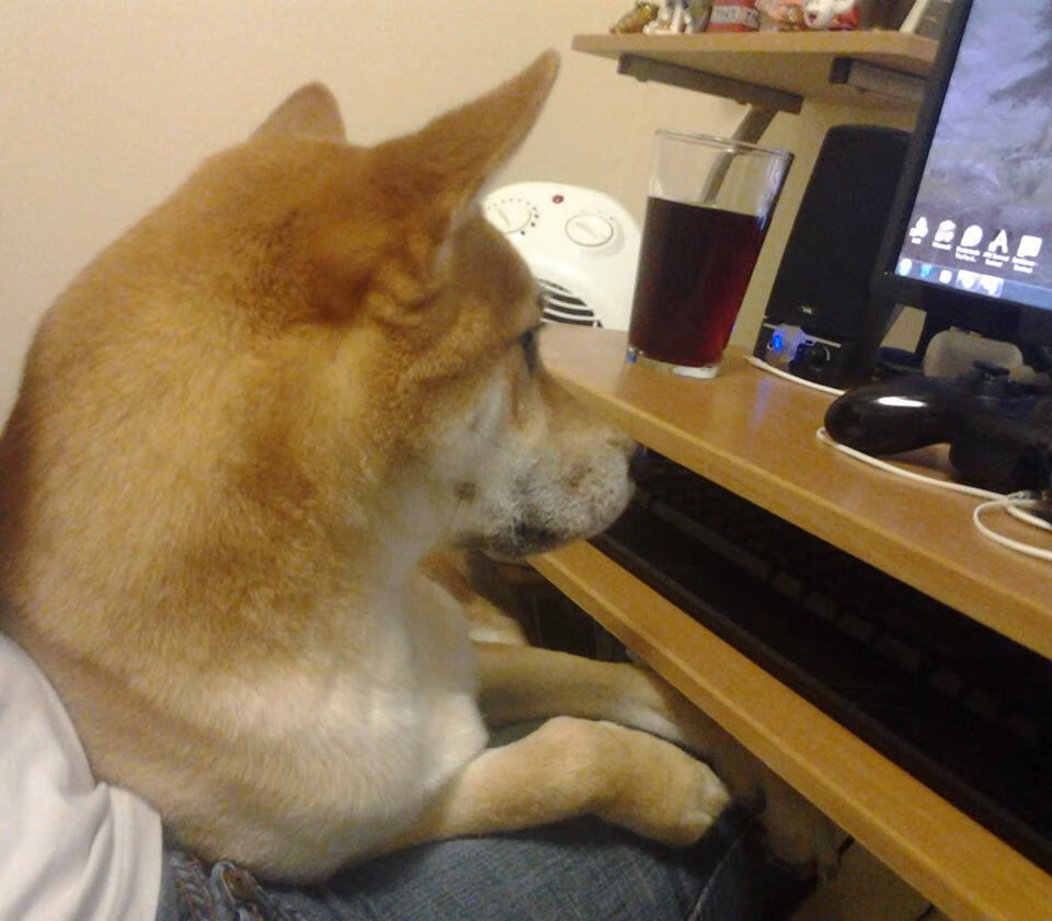 博卡后腰双人组合未能提供有效保护