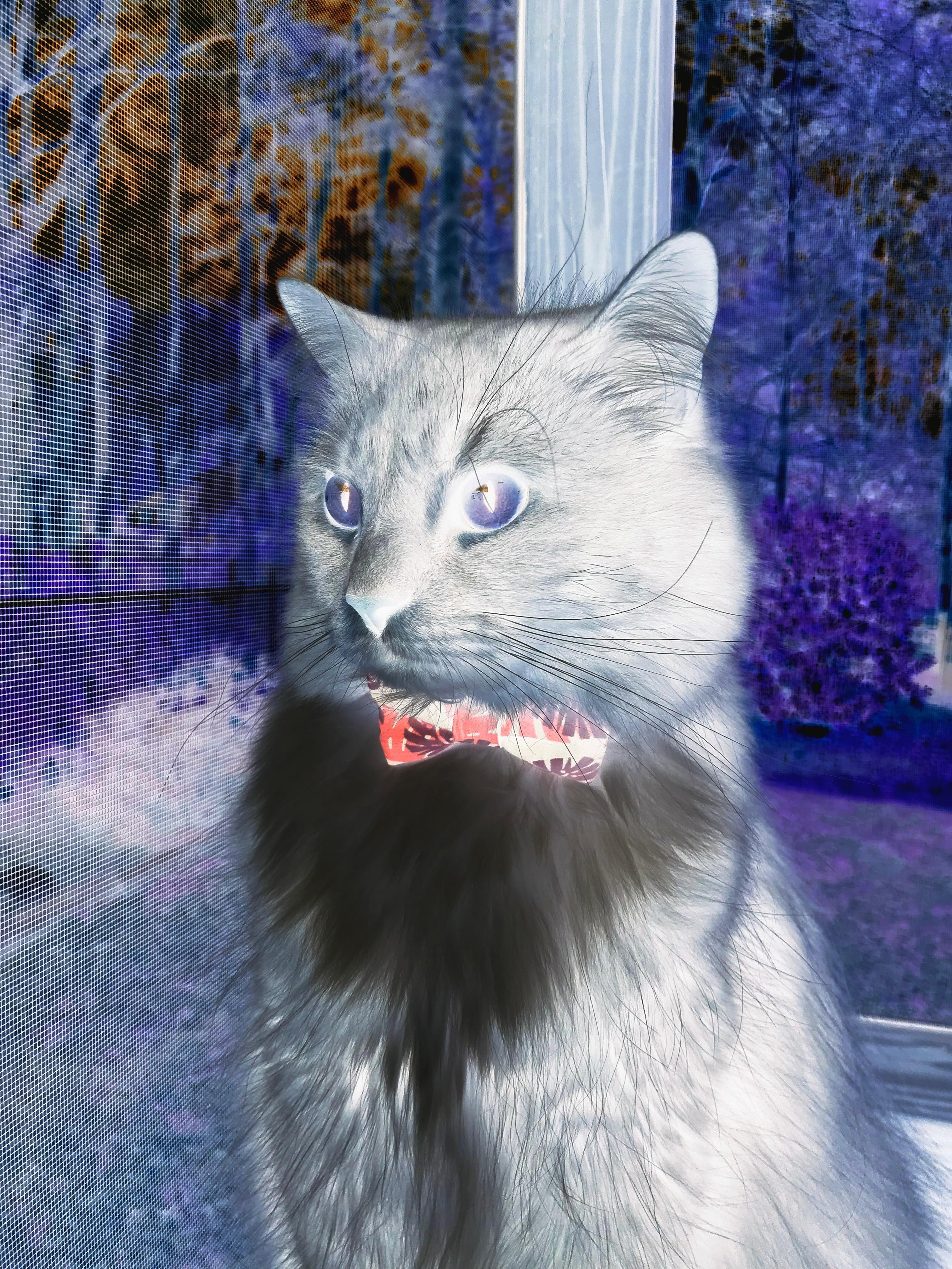 呼吸节奏调控技术研究,呼吸节奏控制