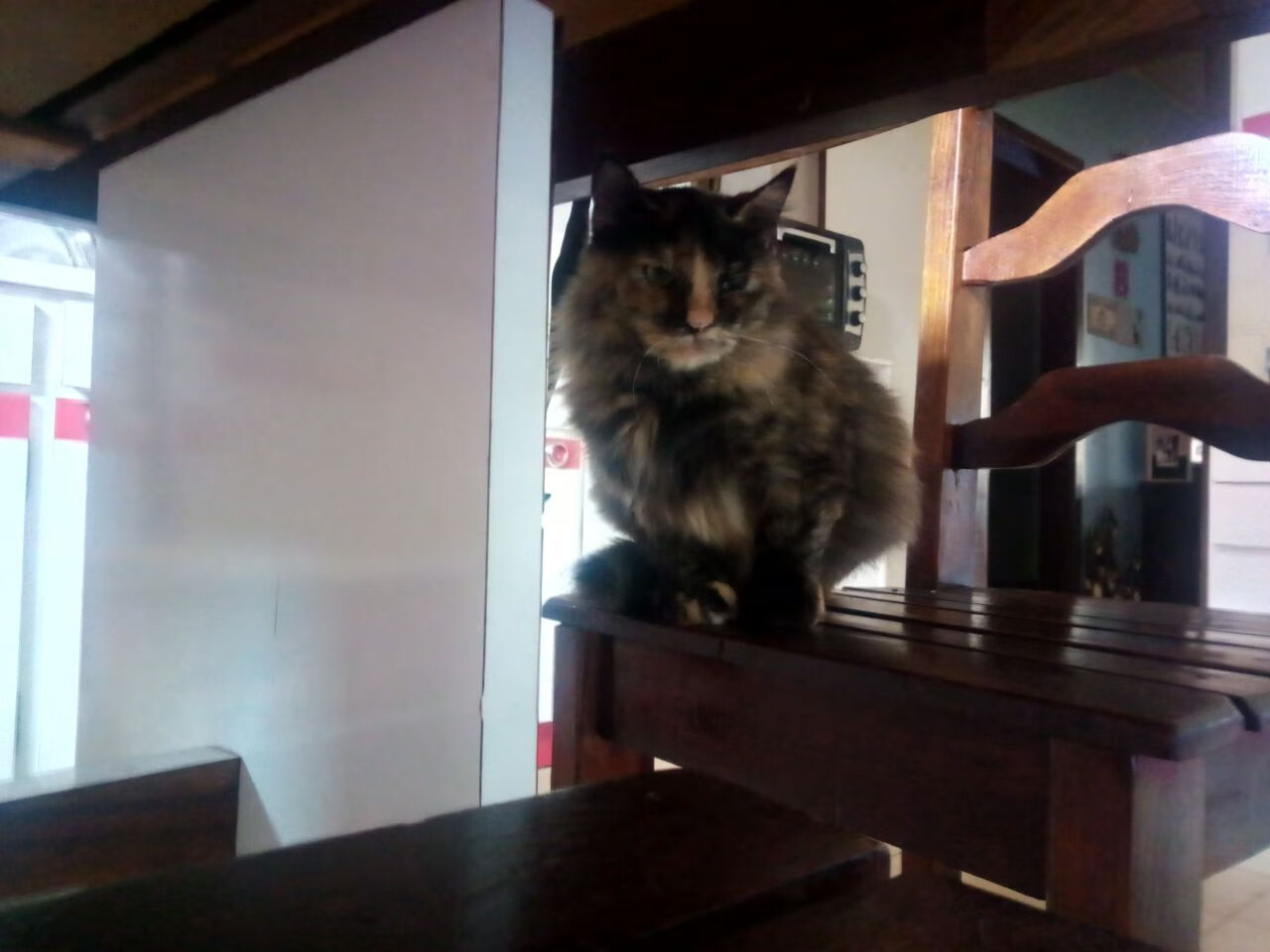 热刺重拾传控体系提升控球质量,热刺的传奇球星