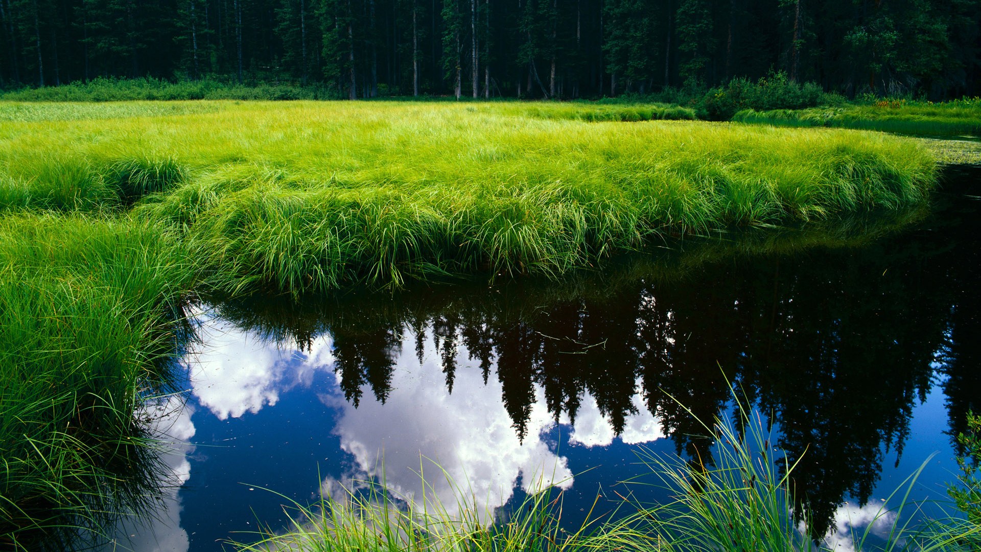 赵继伟传球视野开阔串联全队节奏流畅,赵继伟打球