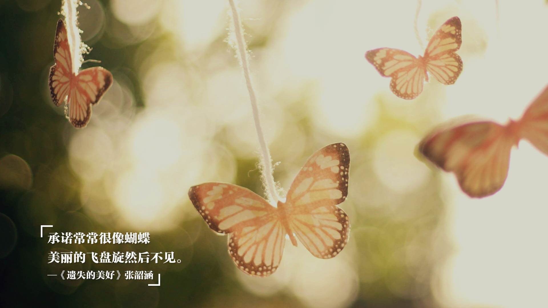 温斯坦决赛数据解析:前半程控制得当,温斯坦公司