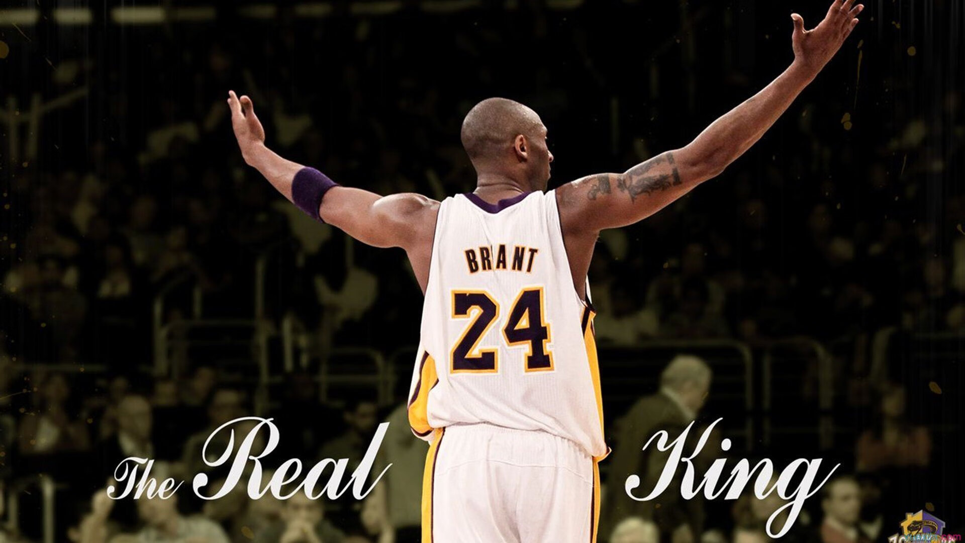 世界杯：意大利尽管缺席 但国内观赛热情仍高昂 被称“最无缘又最投入”